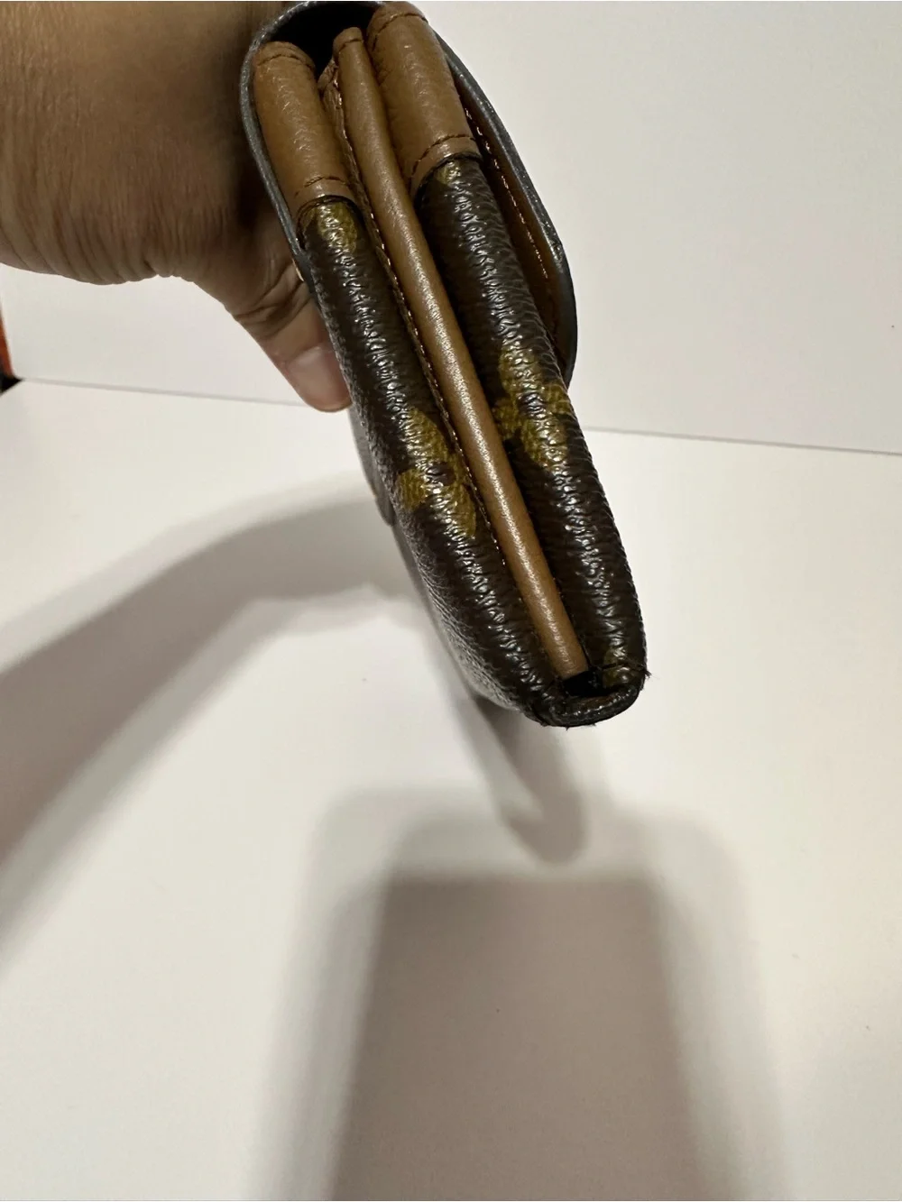 Louis Vuitton classic louis